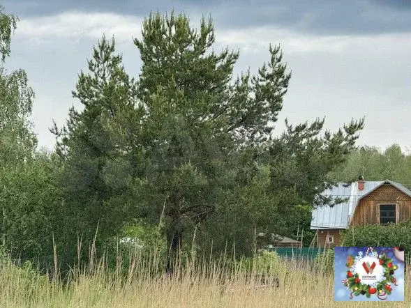 Дом с газом  на участке 25 сот. д.Дубки 75 км от мкад - Фото 26
