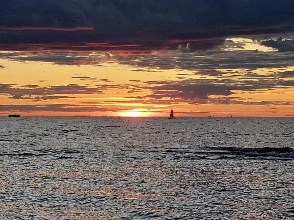 В продаже 2 к.кв с мебелью и техникой рядом с сосновым лесопарком - Фото 39