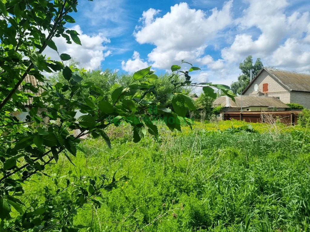 Продажа участка, Ивановка, Балаковский район, Сельхозтехникум ул. - Фото 5