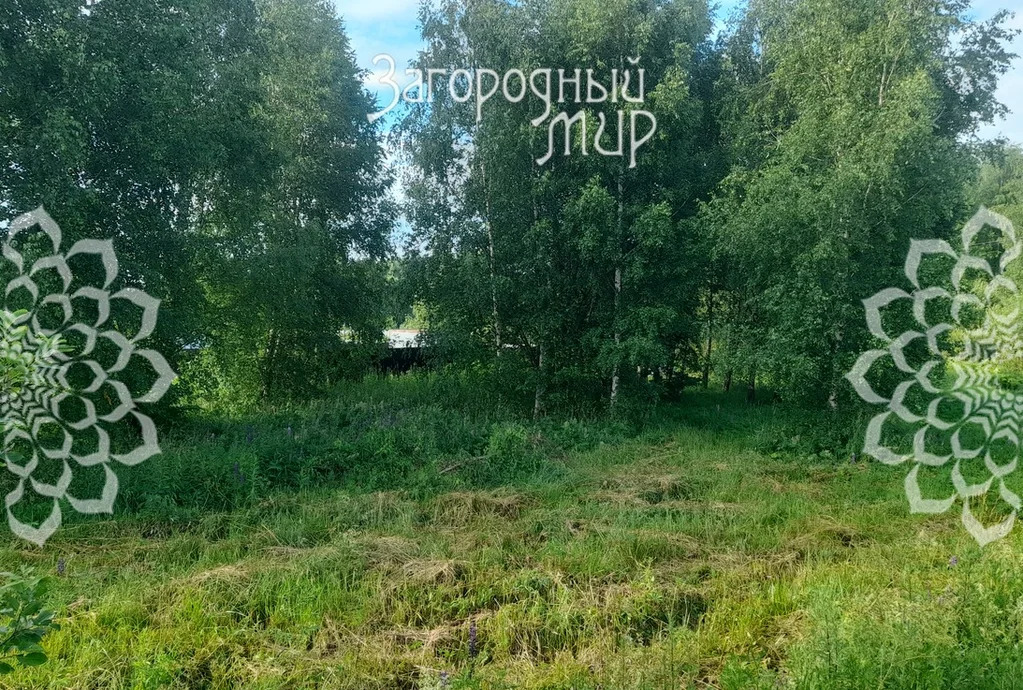 Продам участок, Дмитровское шоссе, 80 км от МКАД - Фото 1