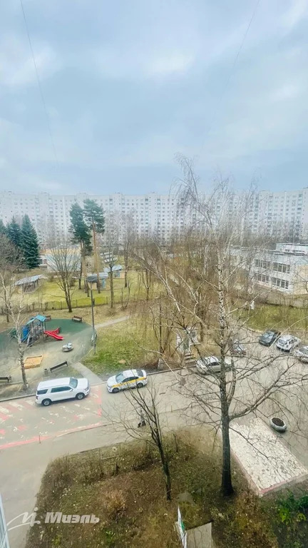 Объект 553528 - Фото 10