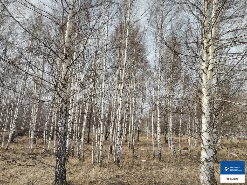 Продажа участка, Рязанский район - Фото 0