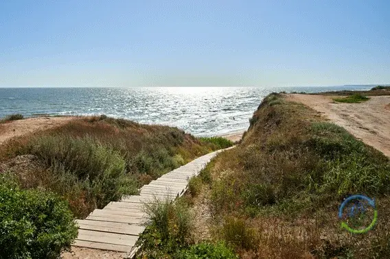 Инвестиционные апартаменты в Кучугурах у моря - Фото 7