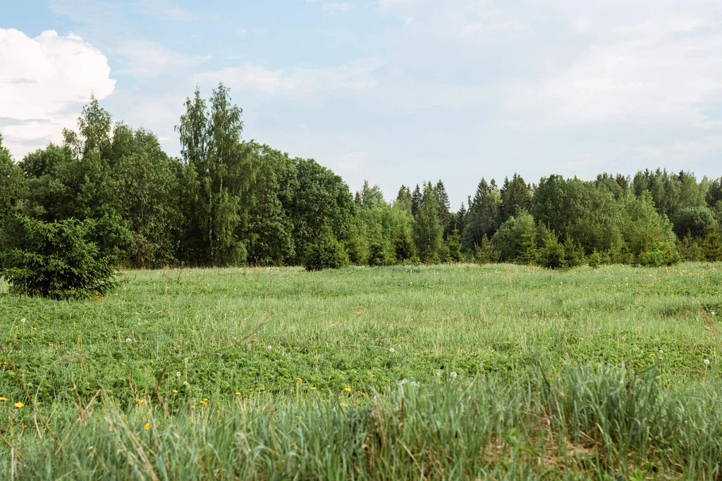 Продается земельный участок 16 сот. - Фото 9