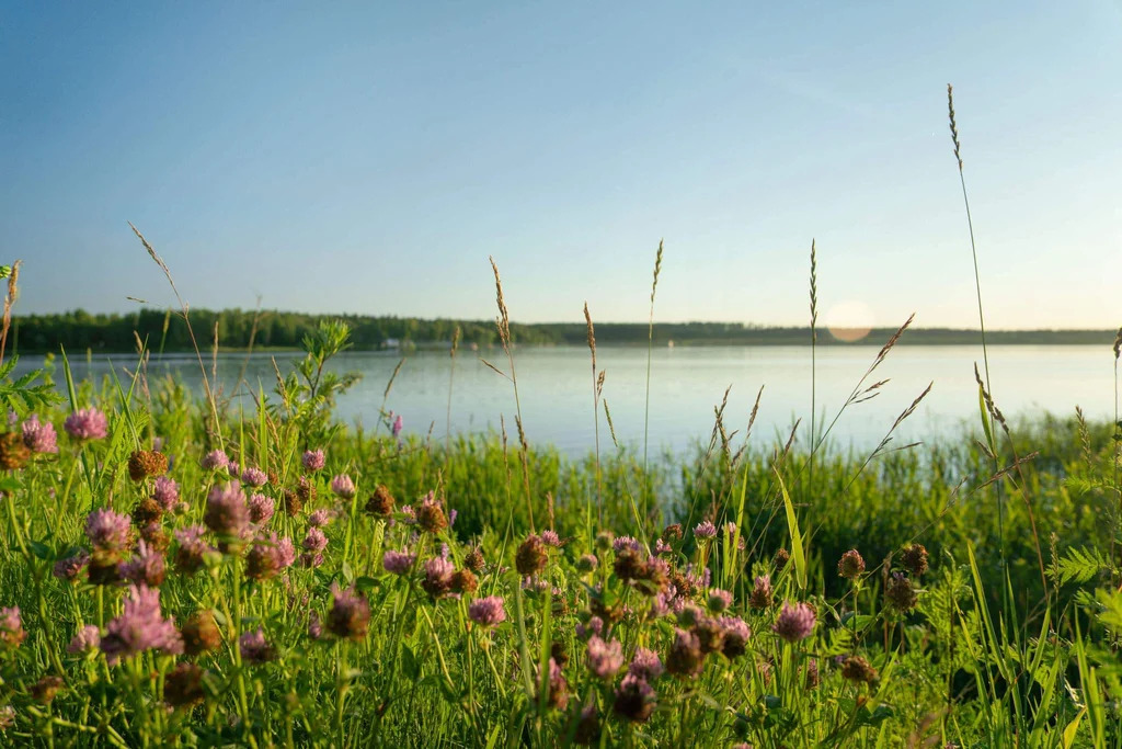 Коттедж 188.2 м2 на участке 1.43 сот. - Фото 19