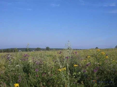 Продажа земельного участка, Ижевск, ул. Автономная - Фото 3