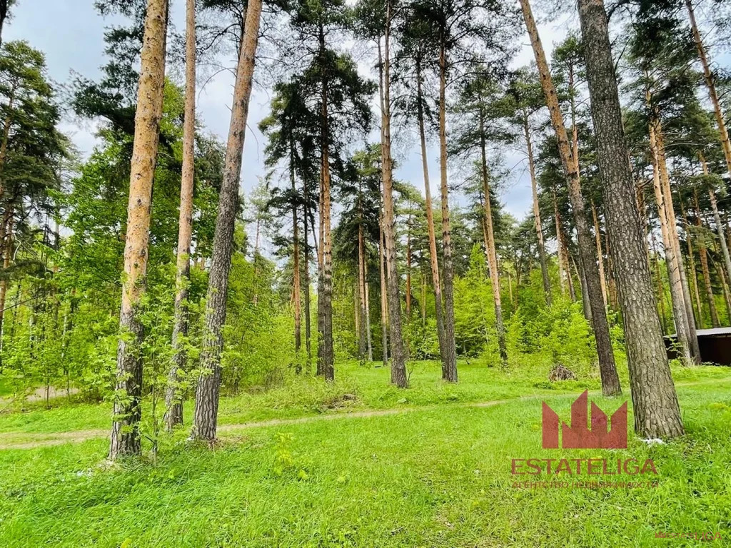 Продажа дома, Малаховка, Люберецкий район, ул. Совнаркомовская - Фото 20