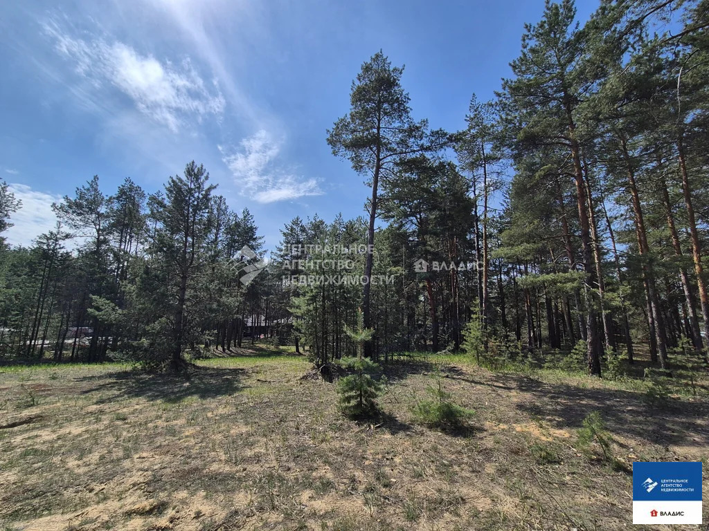 Продажа участка, Рязанский район - Фото 2