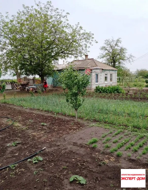 Продажа дома, Золотая Коса, Неклиновский район, ул. Пушкина - Фото 2