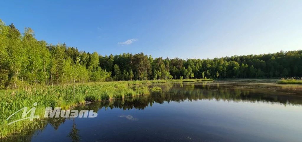 Две дачи по цене одной в окружении леса с лесным озером для купания. - Фото 46