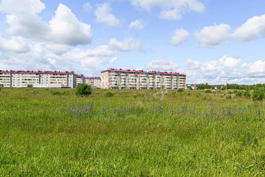 Купить Квартиру В Новосибирске Светлый Мошковский Район