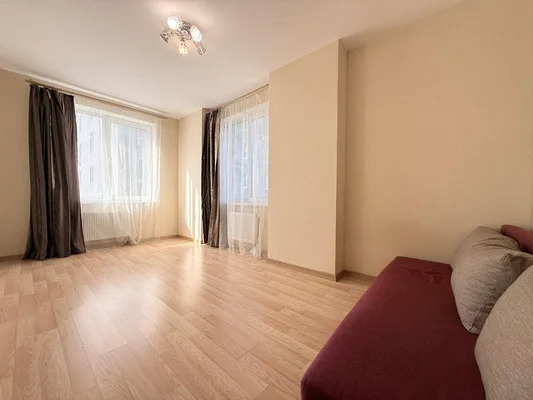 Продам однокомнатную (1-комн.) квартиру, Русская ул, 5, Анкудиновка д - Фото 9
