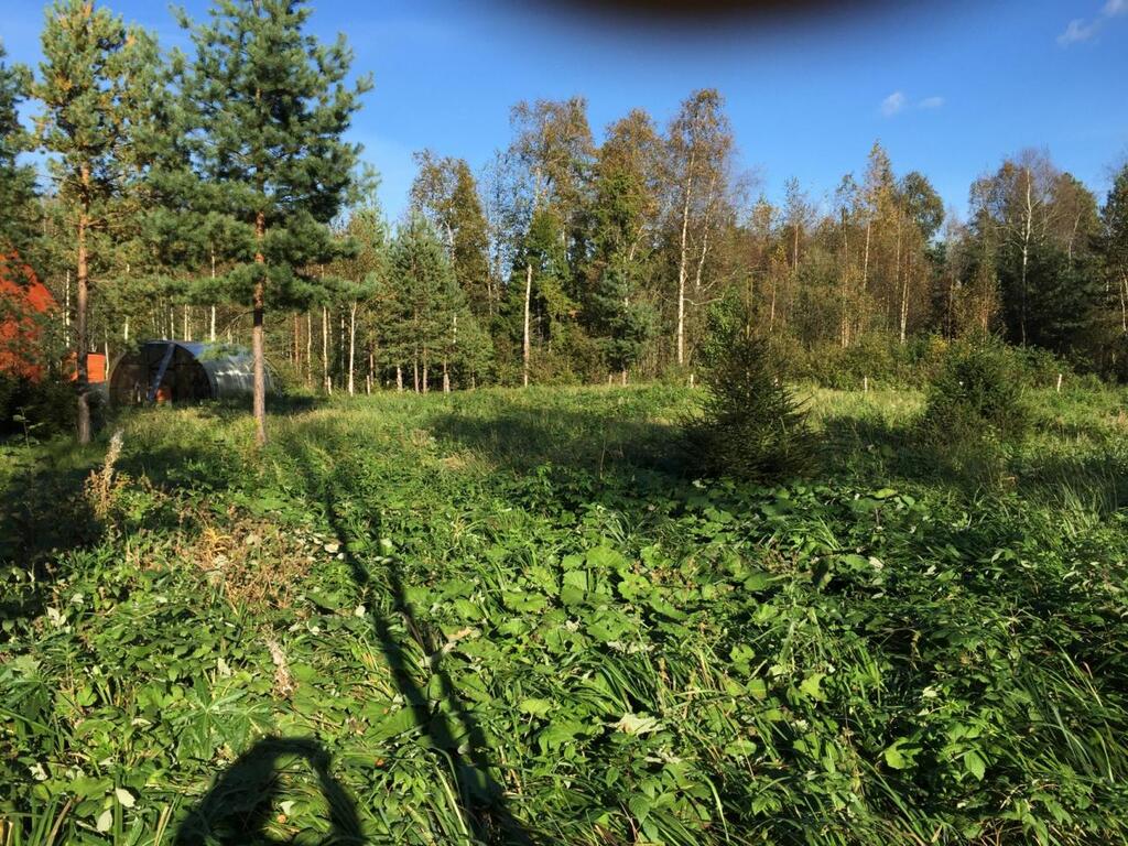 Купить Участок В Ижоре Ломоносовского Района