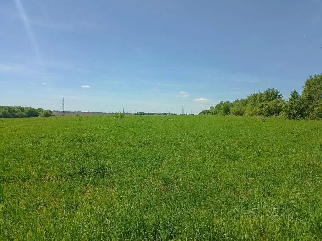 Продаю коммерческую землю 10.0 га ул. Школьная, Московская область, .. - Фото 6