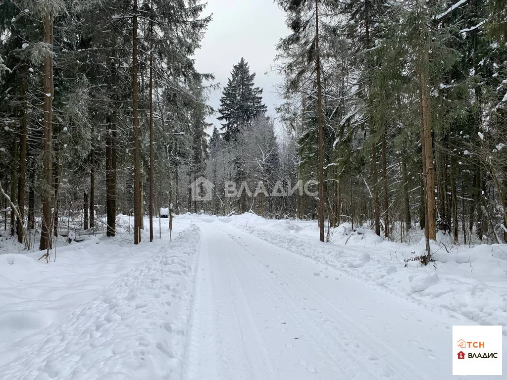 Продажа участка, Сазонки, Дмитровский район - Фото 2