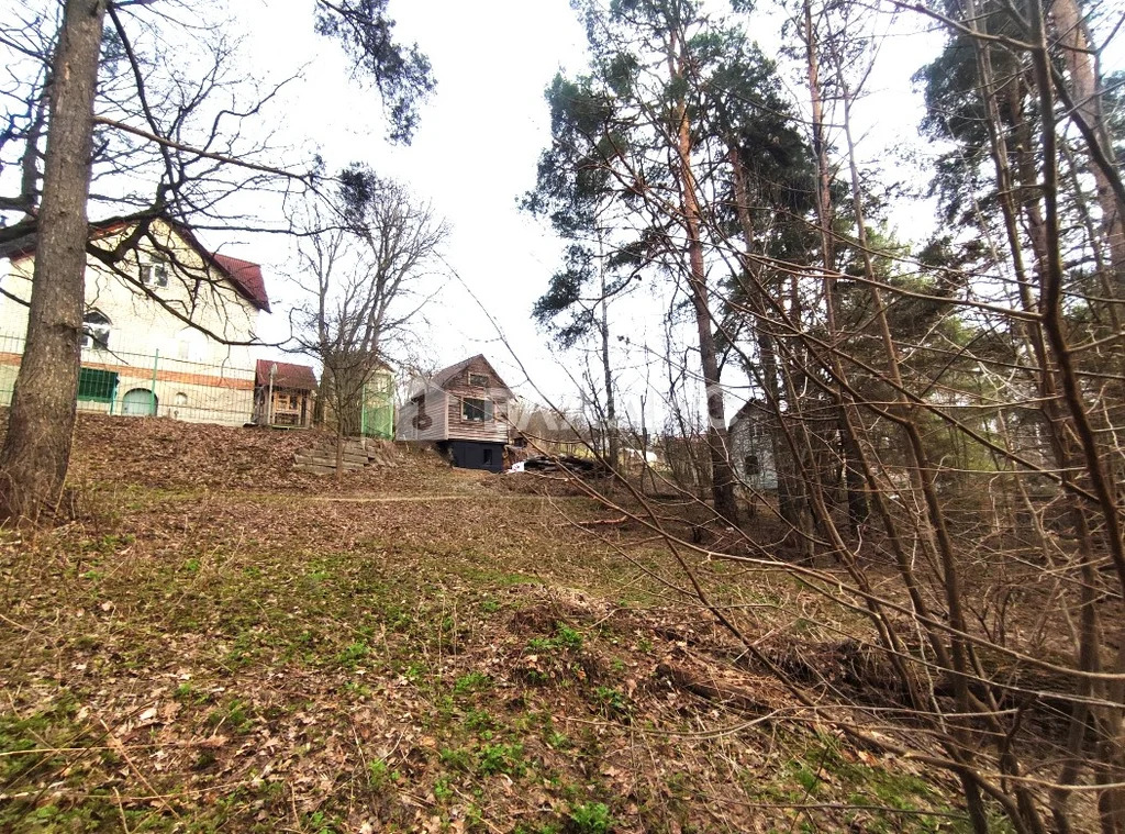 Судогодский район, деревня Ладога,  земля на продажу - Фото 8