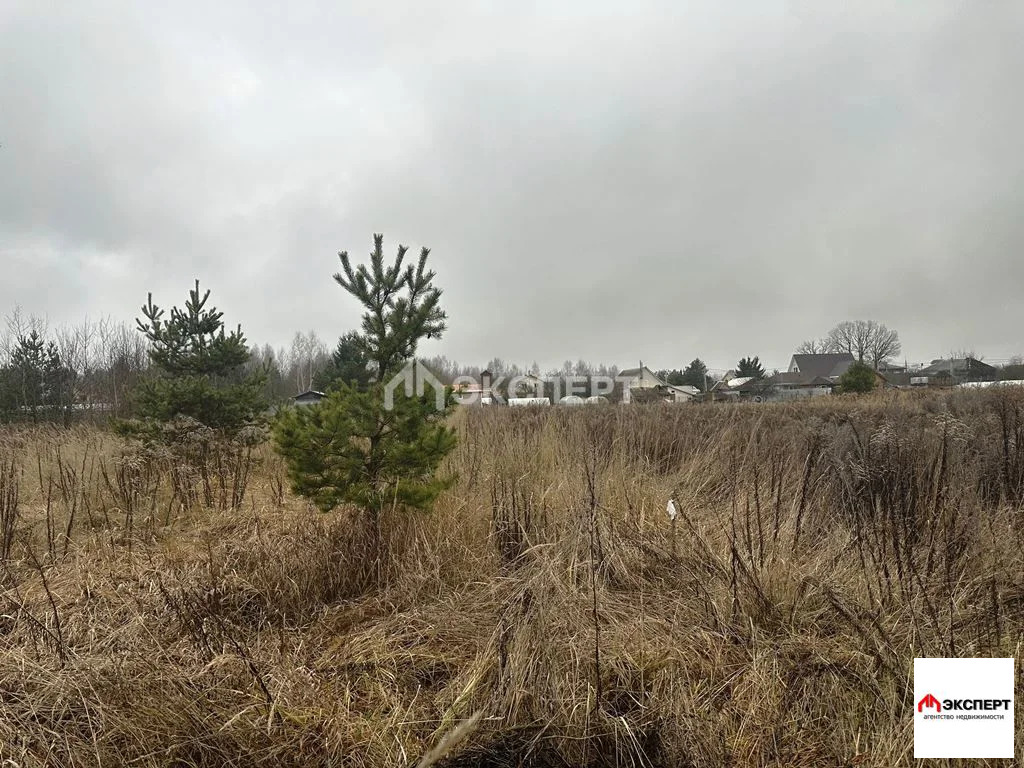 Земельный участок, д. Ефимово - Фото 1