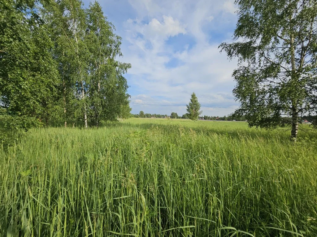 Продажа участка, Аксиньино, Щелковский район - Фото 4