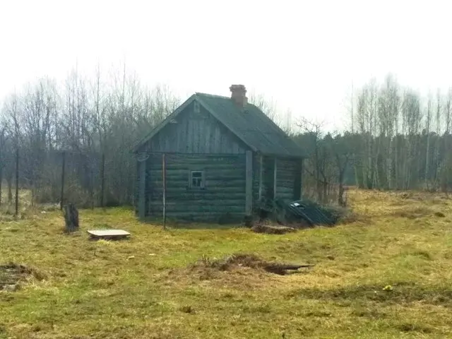 Дом в деревне Дубровка - Фото 1