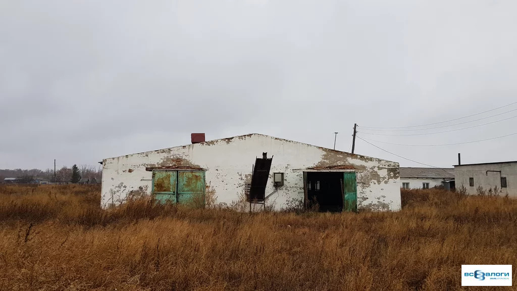 Продажа готового бизнеса, Красный Алтай, Родинский район - Фото 1