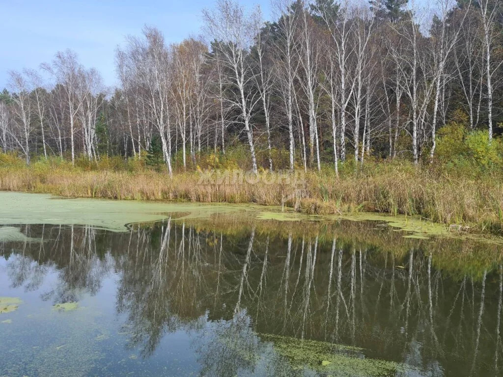 Продажа дома, Новосибирск, Сосновая (снт Бытовик) - Фото 13