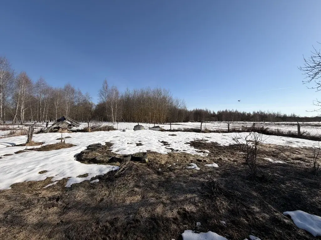 Участок в деревне Соломаево - Фото 4