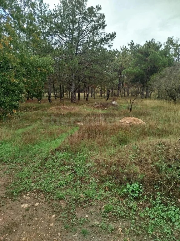 Продажа участка, Севастополь, территория СТ Дружба - Фото 1