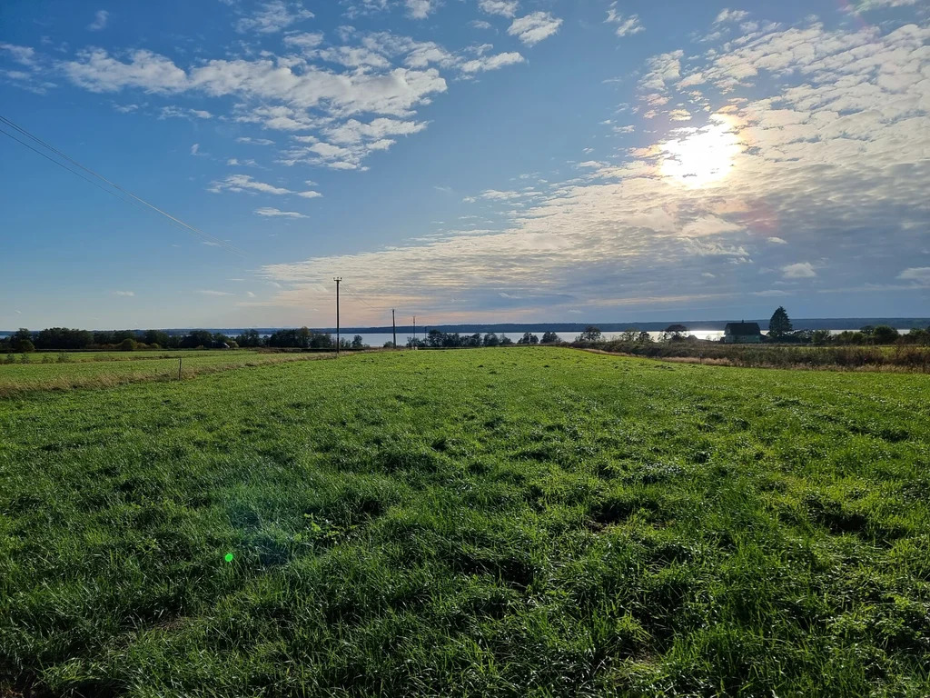 Продажа участка, Солнечное, Приозерский район - Фото 14