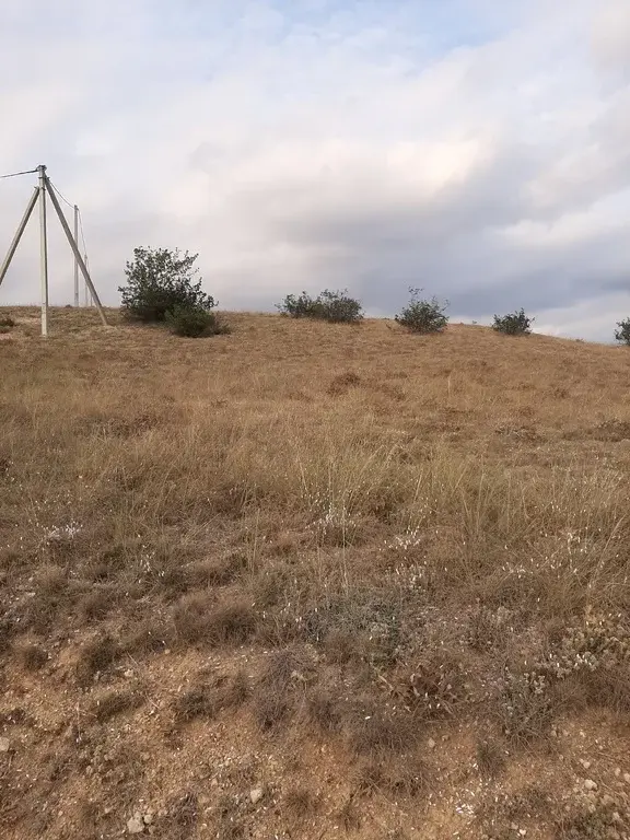 ст усть бельбек севастополь. аэродром бельбек севастополь. ст усть бельбек севастополь. бельбек виноградники. дом культуры любимовка севастополь.