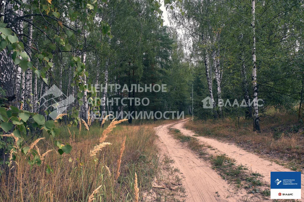 Продажа участка, Семкино, Рязанский район - Фото 3
