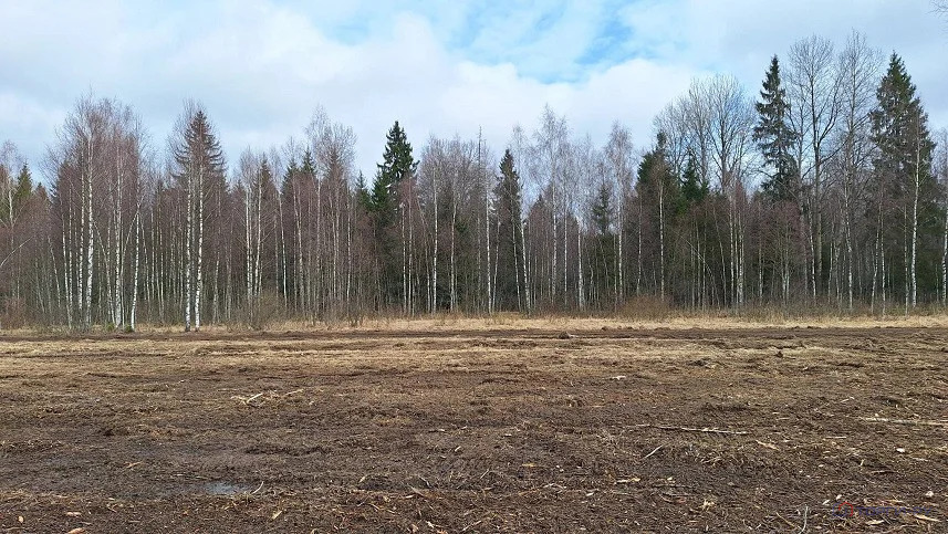 Продажа земельного участка, Давыдково, Зубцовский район - Фото 9