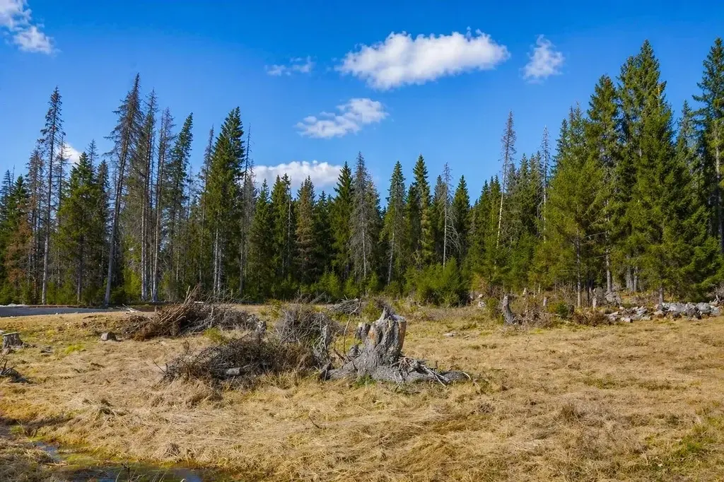 Земельный участок по ул. Труда - Фото 4