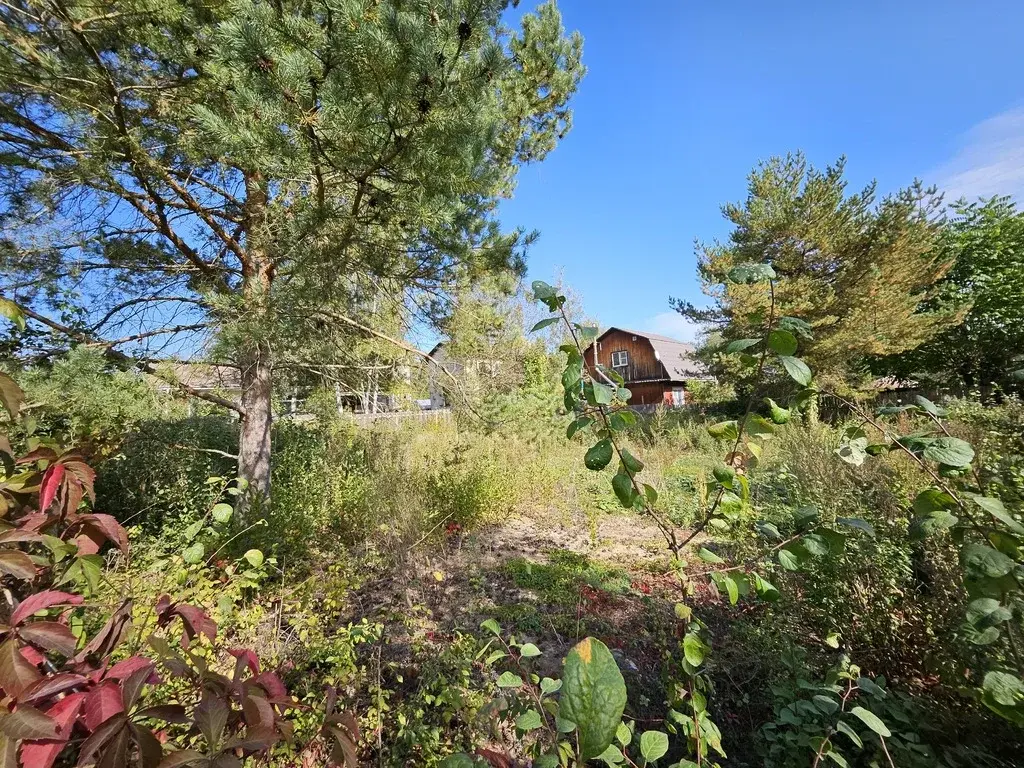 Продажа участка в Новой Москве, СНТ Газовик - Фото 12