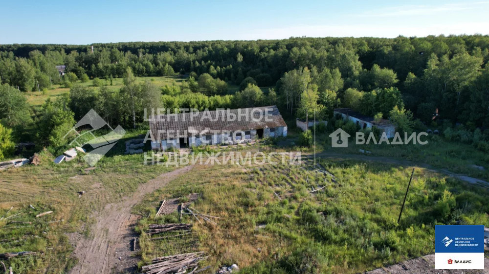 Продажа производственного помещения, Кирицы, Спасский район, Улица . - Фото 3