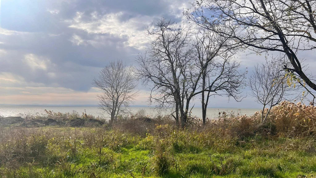 Участок 10 сот. на берегу водохранилища - Фото 11