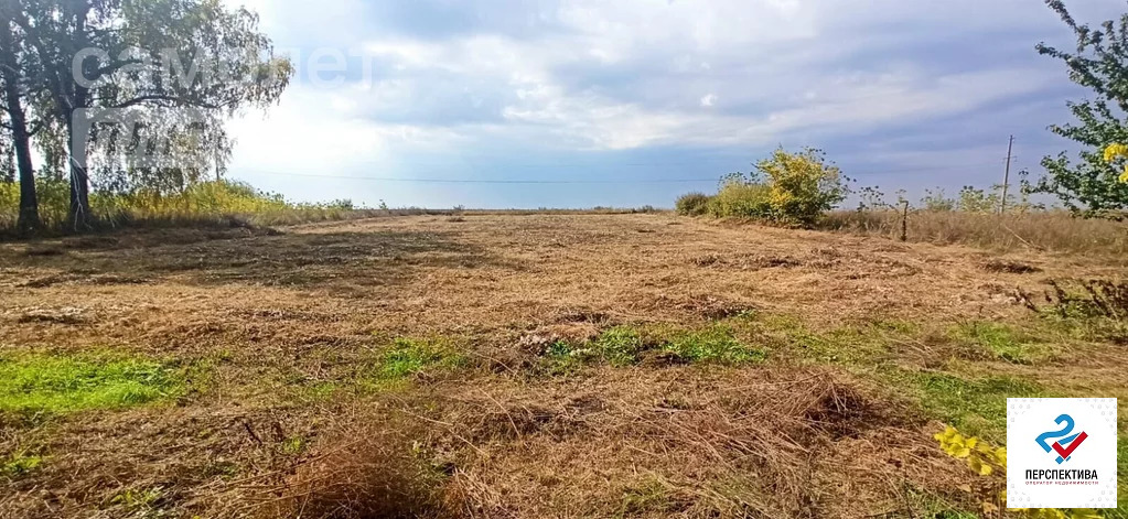 Продажа дома, Никольское, Усманский район, ул. Ленина - Фото 19