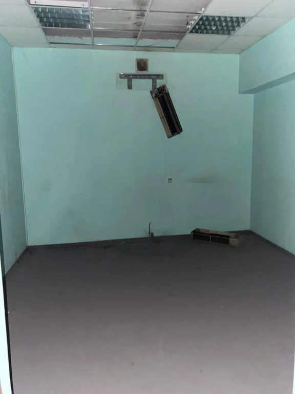 Аренда ПСН площадью 338 м2 - Фото 2