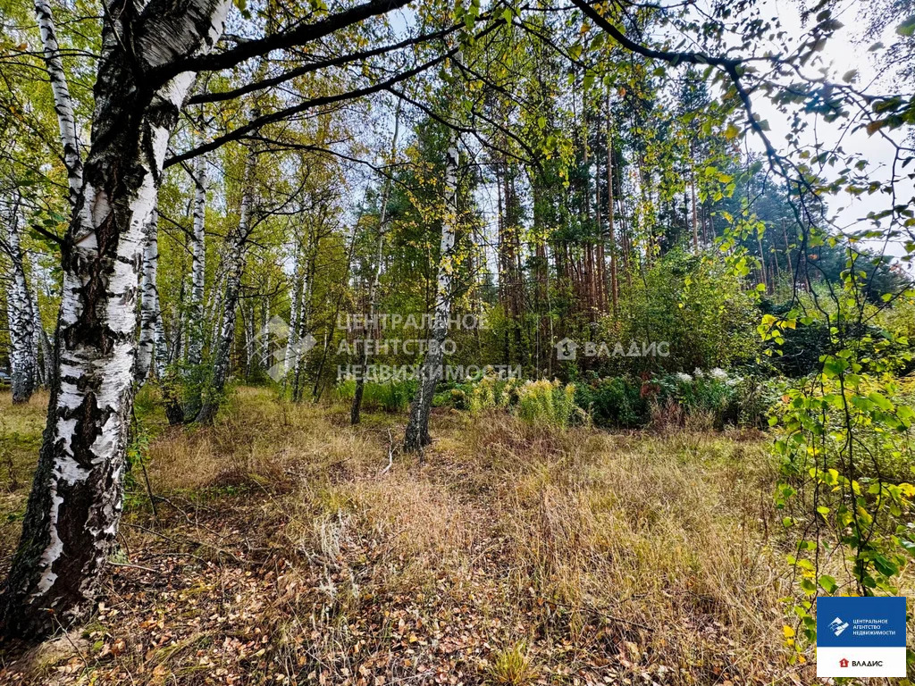 Продажа участка, Казарь, Рязанский район, ул. Лесная - Фото 6