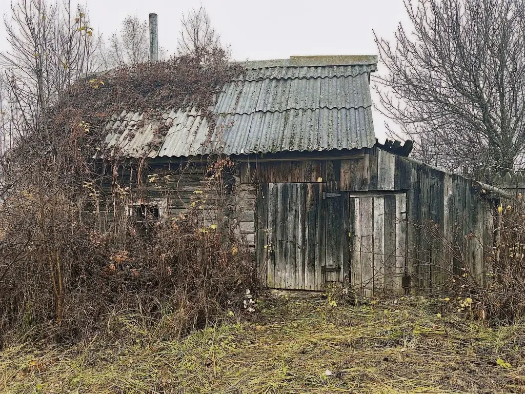 Дом в деревне Васильевка - Фото 32