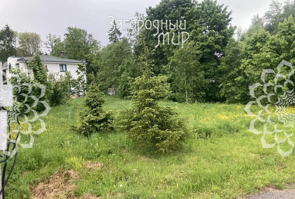Продам участок, Ярославское шоссе, 38 км от МКАД - Фото 4
