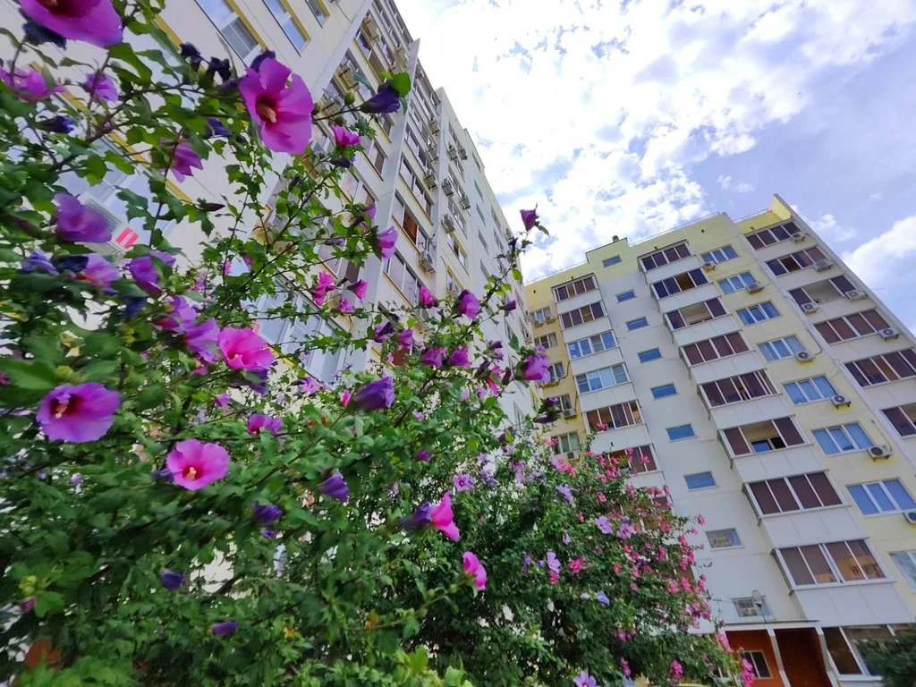 Продажа квартиры, Геленджик - Фото 13