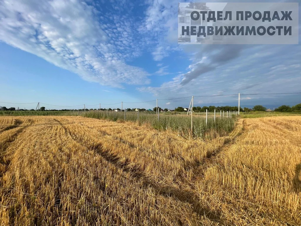 Большой участок - Фото 5