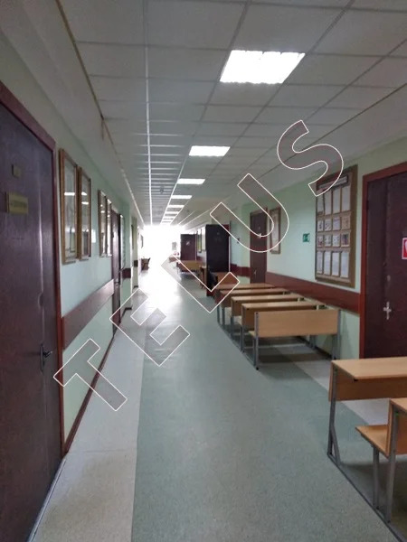 м. Первомайская, ул. 14-я Парковая, 1 687 м2, "Продажа офиса" (ном. ... - Фото 13