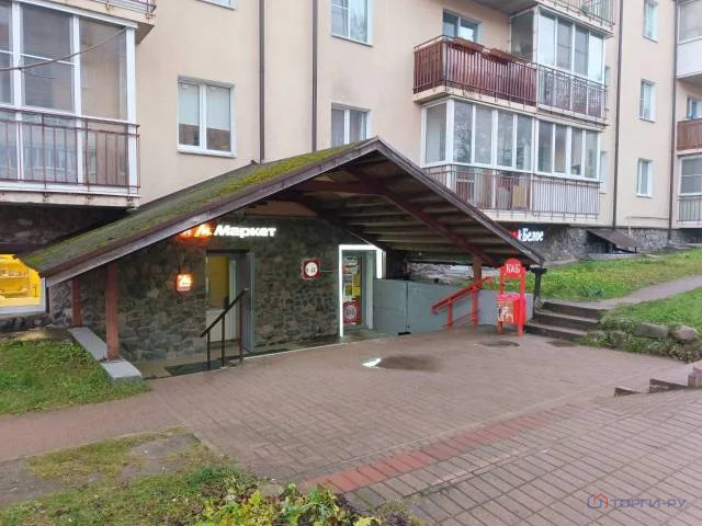 Продажа торгового помещения, Выборгский район, СНТ Лесное - Фото 1