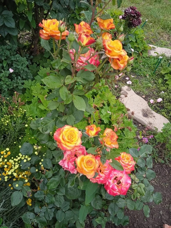 Продажа дома, Северская, Северский район, ул. М.Горького - Фото 15