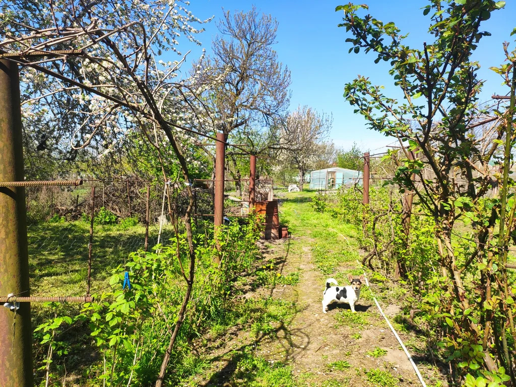 Продажа дома, Холмская, Абинский район, ул. Лысова - Фото 16