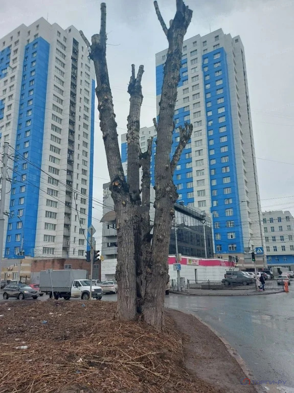 Продажа квартиры, Новосибирск, ул. Державина - Фото 1