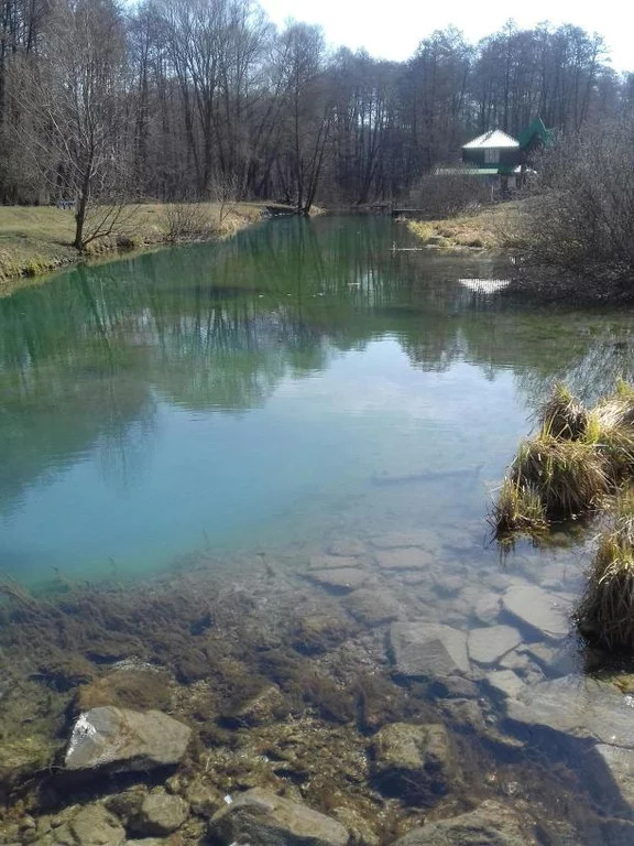 Шопино белгородская область фото