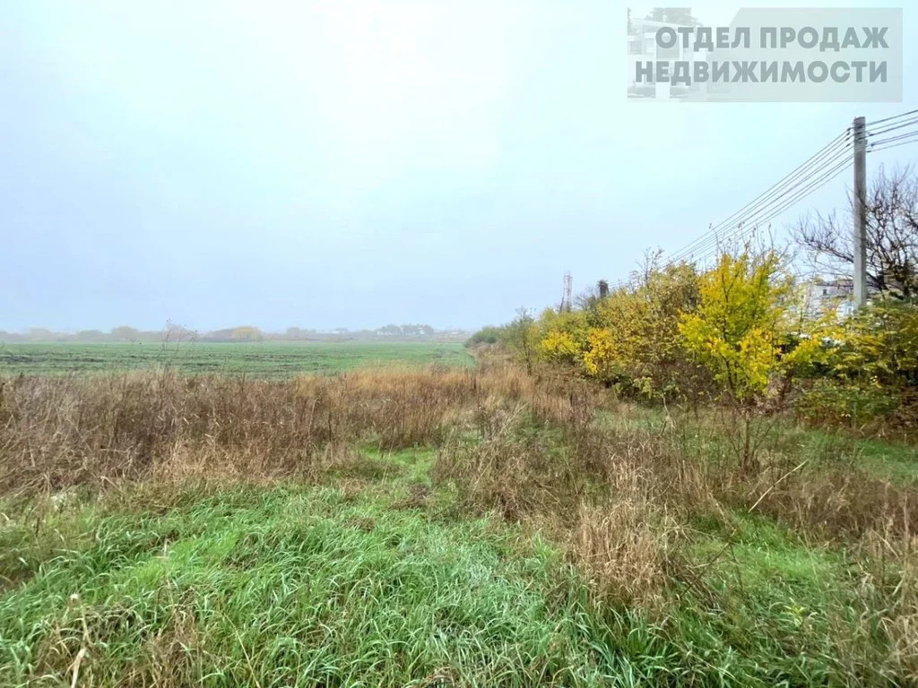 Большой участок - Фото 3