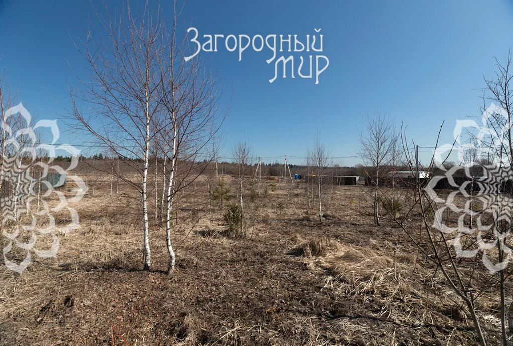 Продам участок, Волоколамское шоссе, 35 км от МКАД - Фото 4
